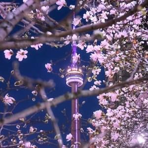 Meet your Posher, Rania